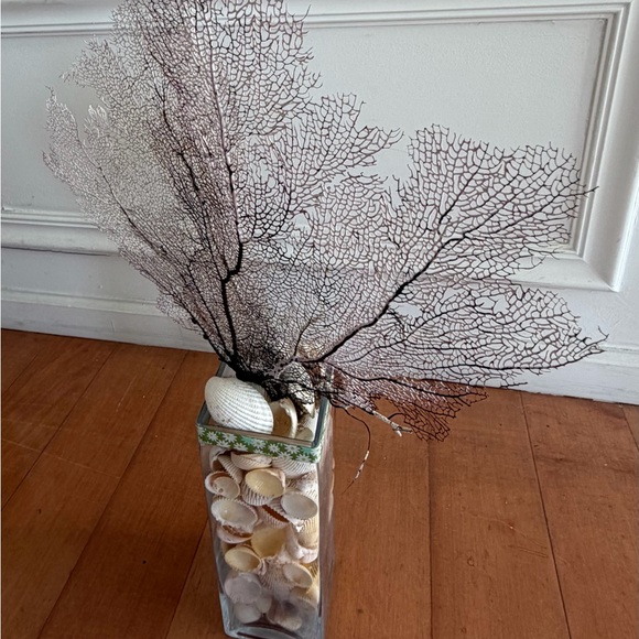 coral - Picture 2 of 5